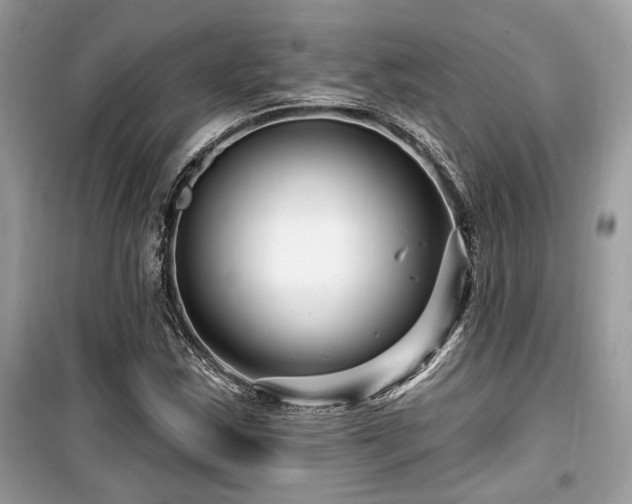 X0000099561163200805161445
