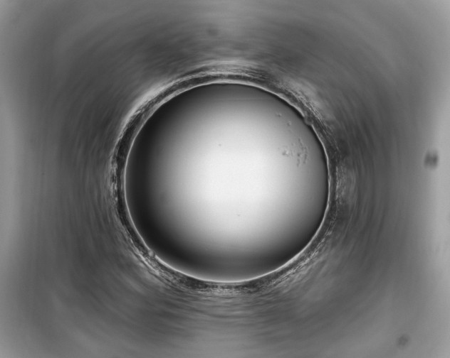 X0000099561164200805161445