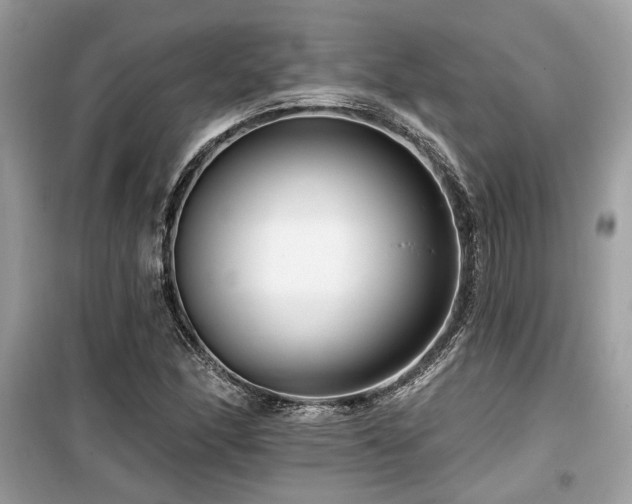 X0000099561166200805161445