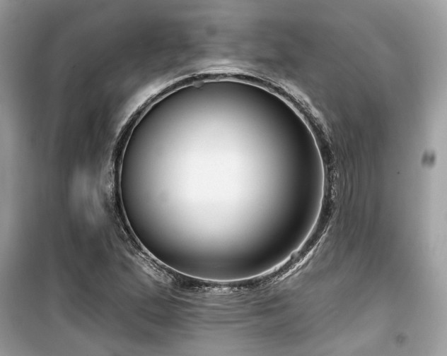 X0000099561167200805161445