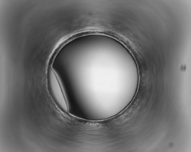 X0000099561168200805161445