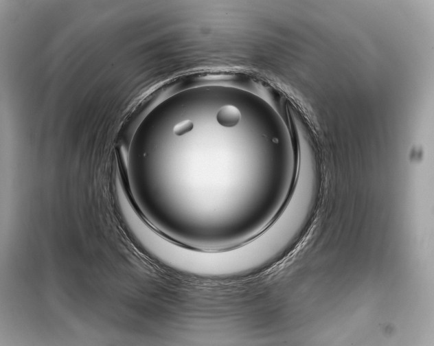 X0000099561169200805161445