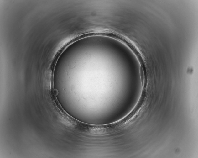 X0000099561171200805161445