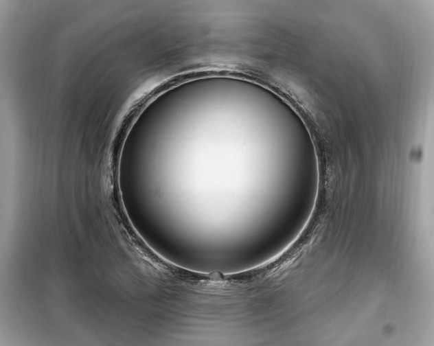 X0000099561172200805161445