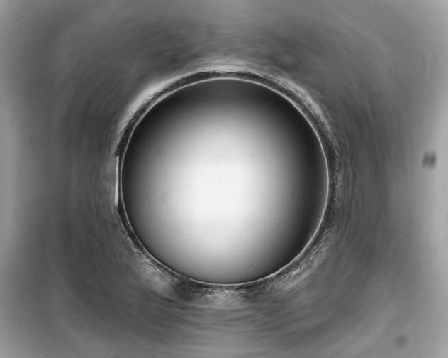 X0000099561175200805161445