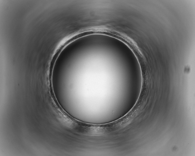 X0000099561176200805161445