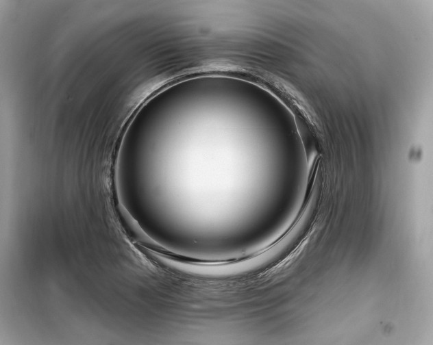 X0000099561177200805161445