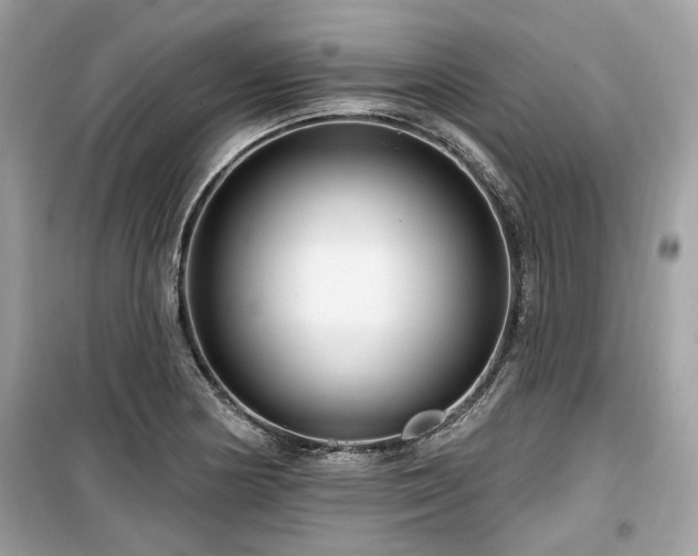 X0000099561178200805161445