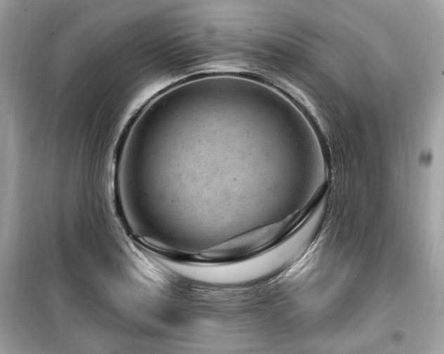 X0000099561179200805161445