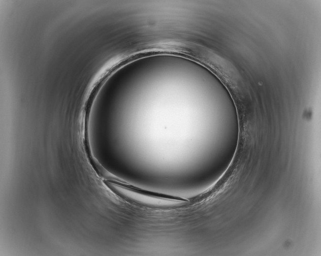X0000099561180200805161445