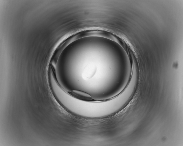 X0000099561181200805161445