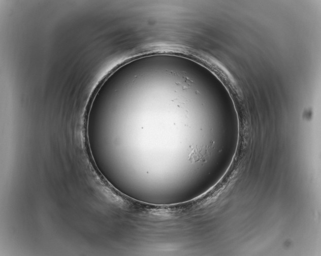 X0000099561182200805161445
