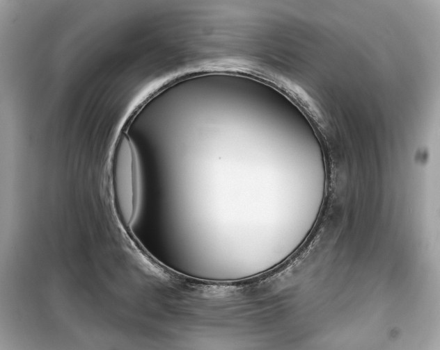 X0000099561184200805161444
