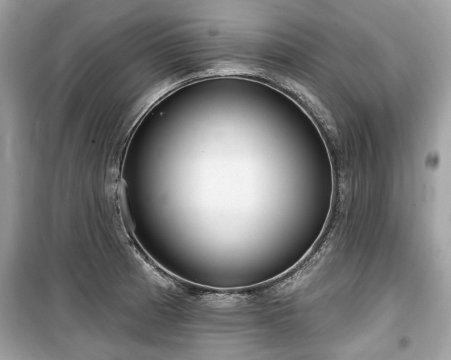 X0000099561185200805161444