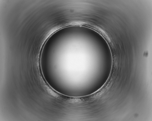X0000099561186200805161444