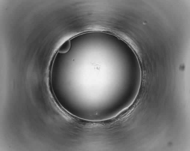 X0000099561187200805161444