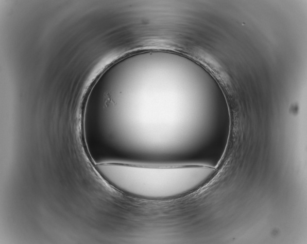 X0000099561188200805161444