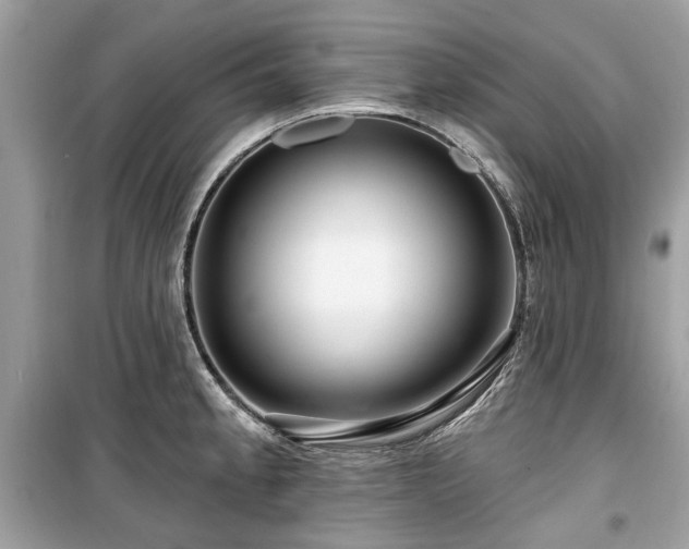 X0000099561189200805161444