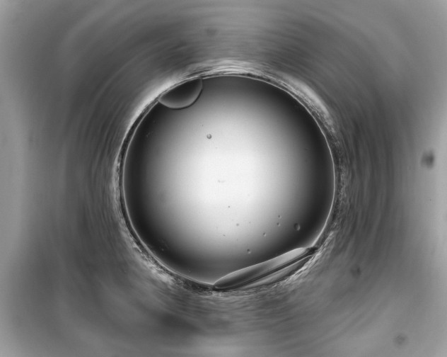 X0000099561190200805161444