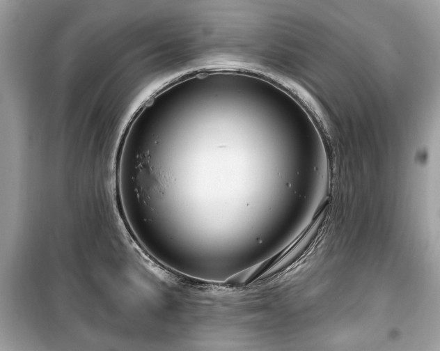 X0000099561191200805161444