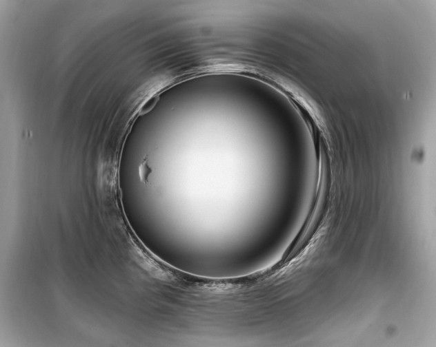 X0000099561193200805161444