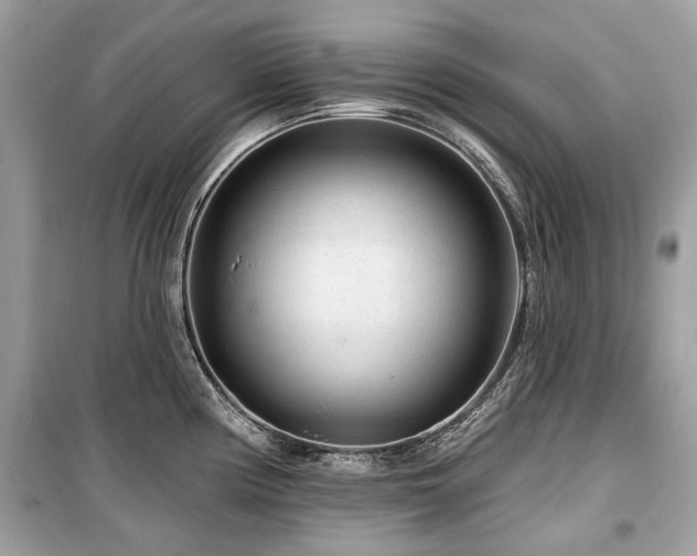 X0000099561194200805161444