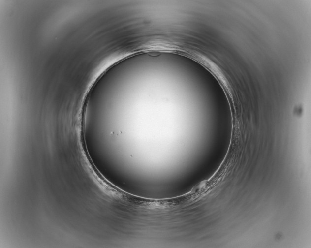 X0000099561195200805161444