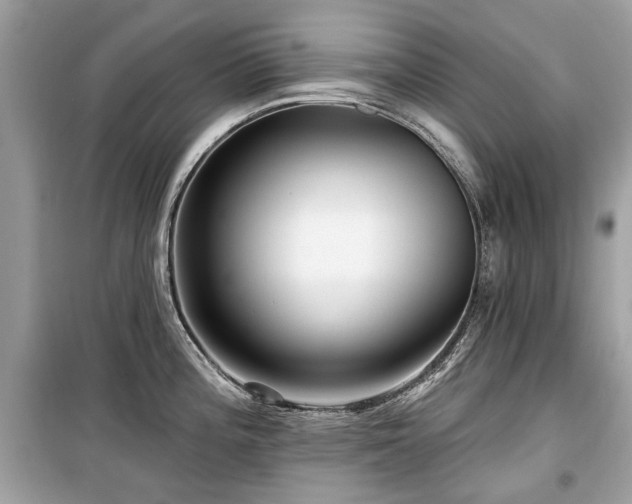 X0000099561196200805161444