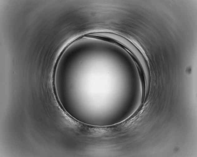 X0000099561197200805161444