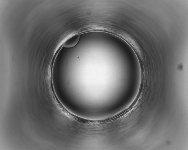 X0000099561198200805161444