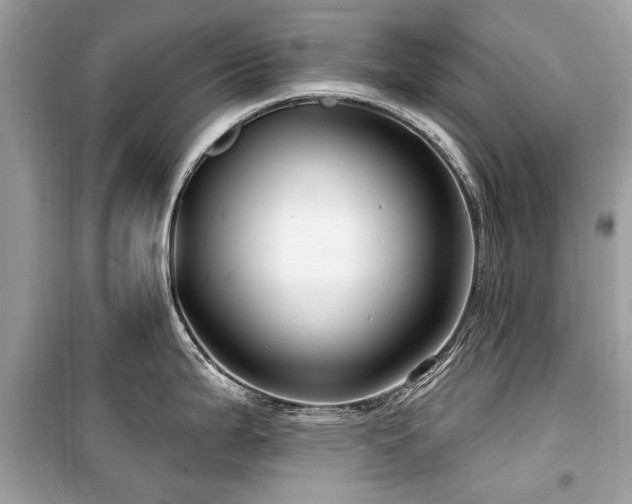 X0000099561199200805161444
