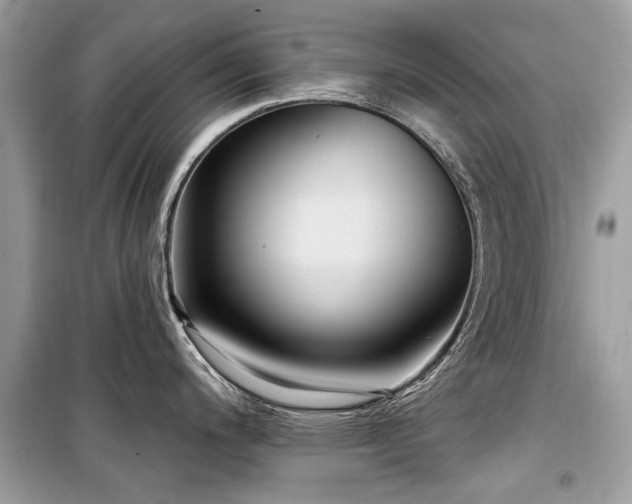 X0000099561200200805161444