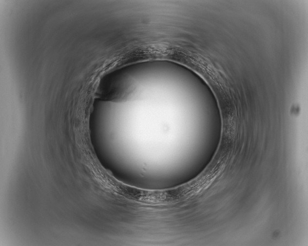 X0000099561201200805161444