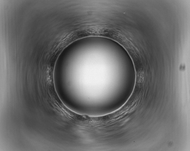 X0000099561202200805161444
