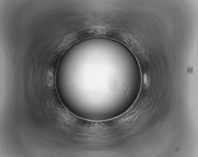 X0000099561203200805161444