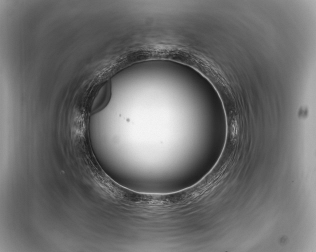 X0000099561204200805161444