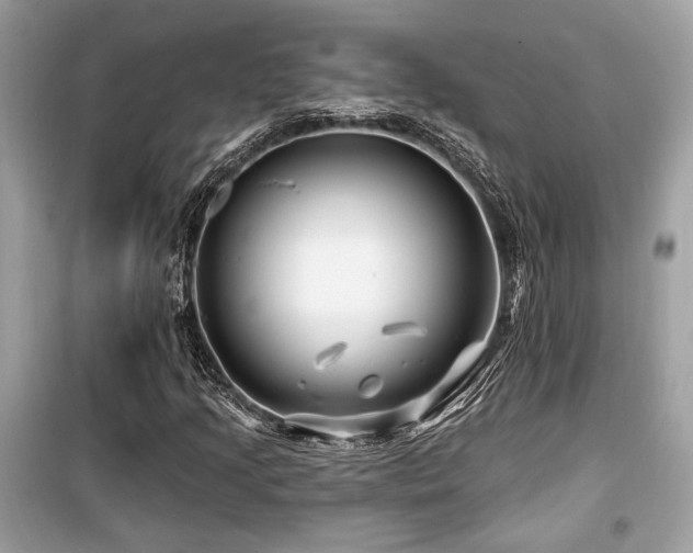 X0000099561205200805161444