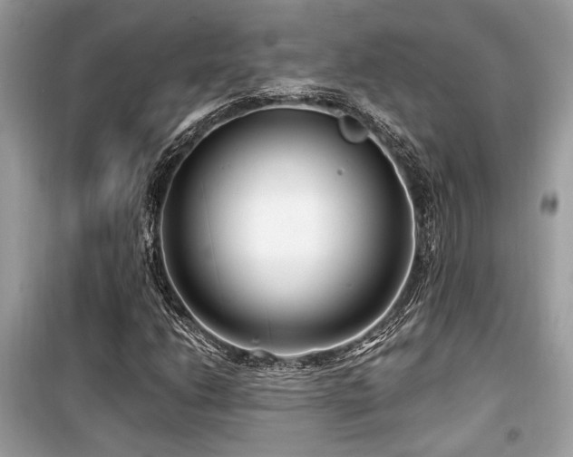 X0000099561206200805161444