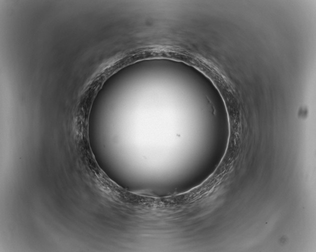 X0000099561207200805161444