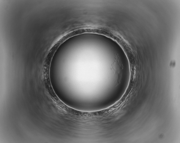 X0000099561208200805161444