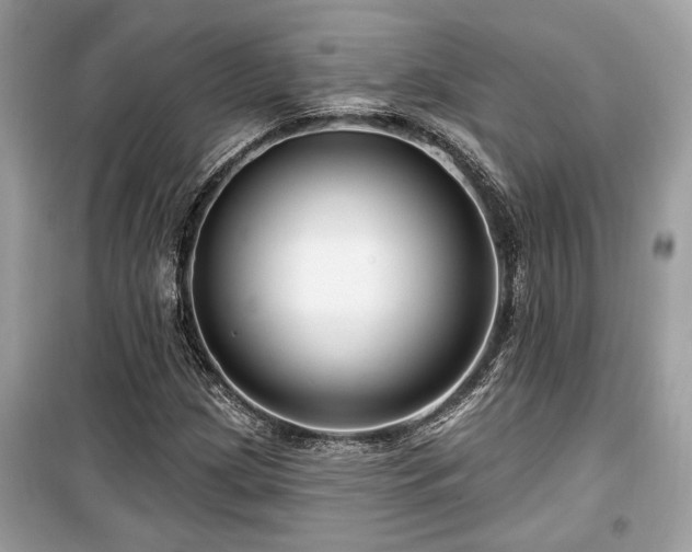 X0000099561209200805161444