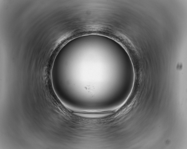 X0000099561210200805161444