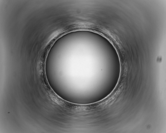 X0000099561211200805161444