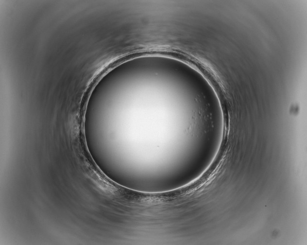 X0000099561212200805161444