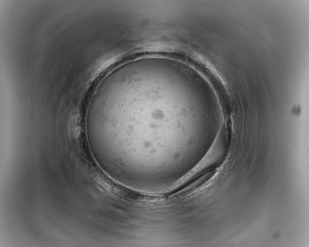 X0000099561213200805161444