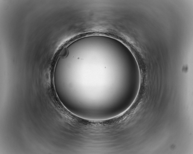 X0000099561214200805161444