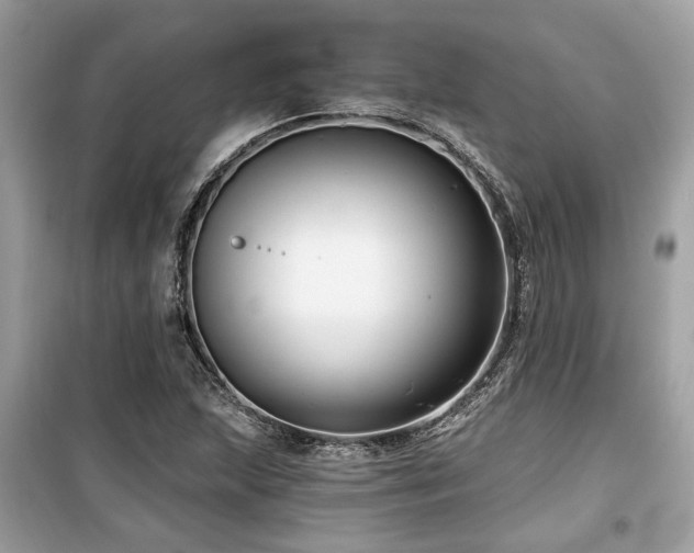 X0000099561215200805161444