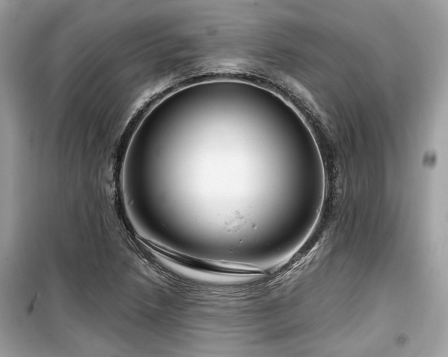X0000099561218200805161444