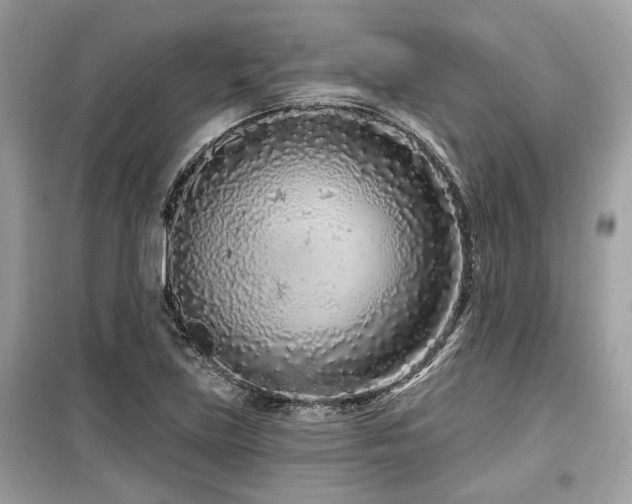 X0000099561219200805161444