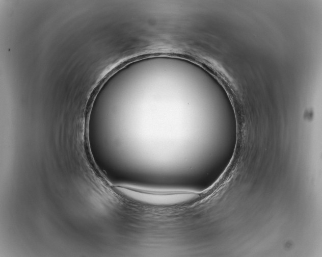 X0000099561220200805161444